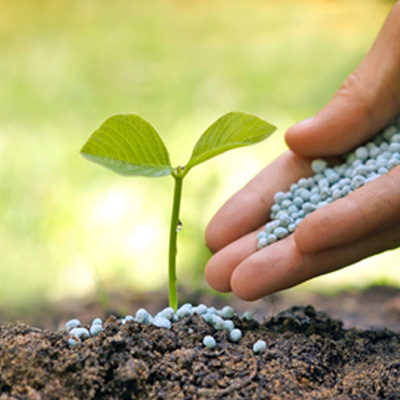 fertilizer
